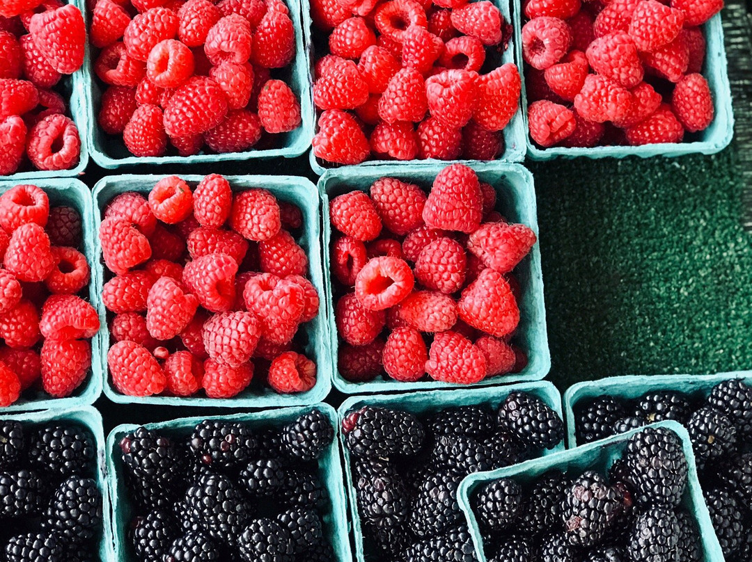 Bogert Farmer's Market-博兹曼必去景点