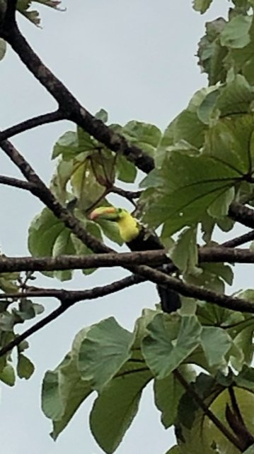 Blue Sky Private Tours-利比里亚必去景点