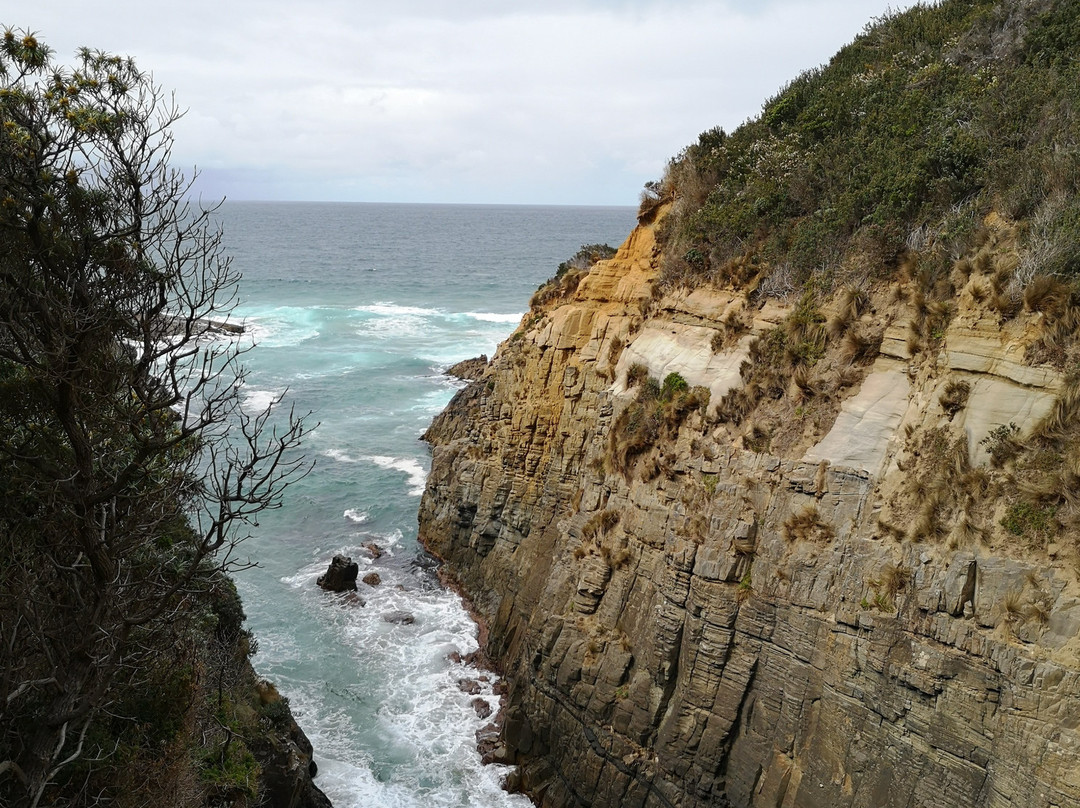 Tasman National Park景点图片