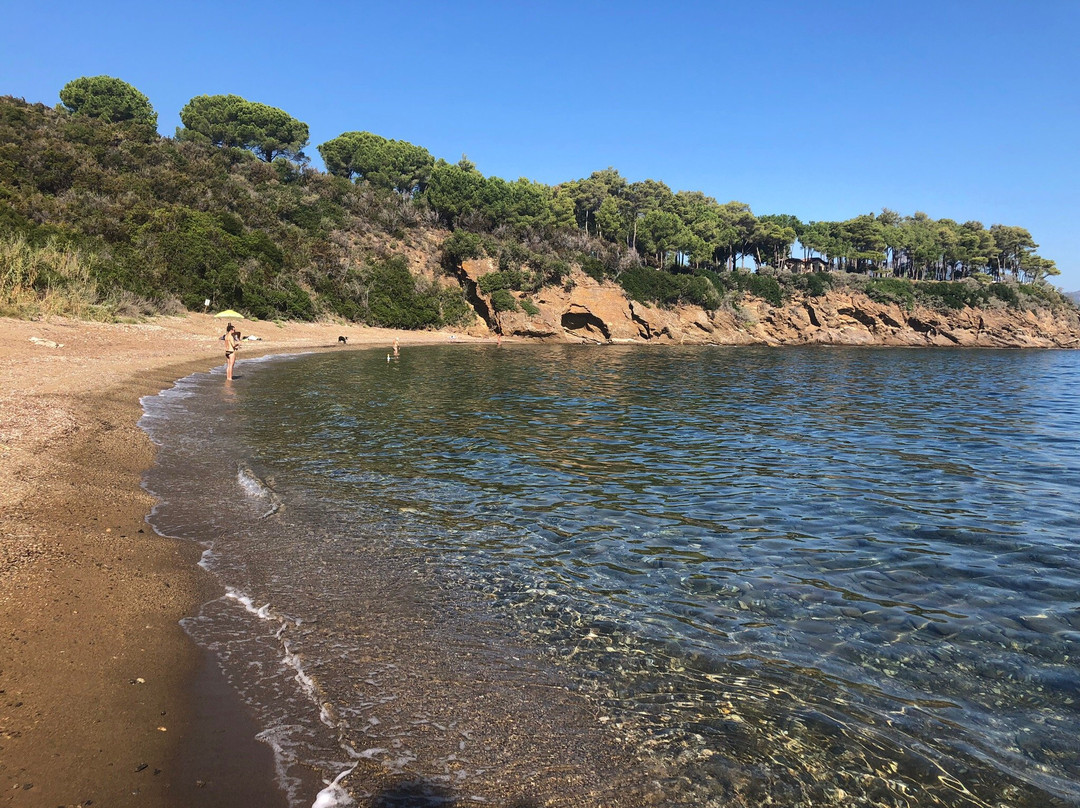 Spiaggia di Malpasso景点图片