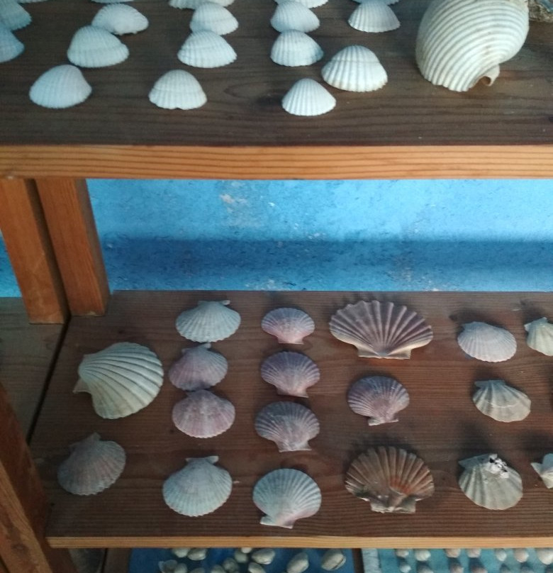 Kini Aquarium-Kini必去景点