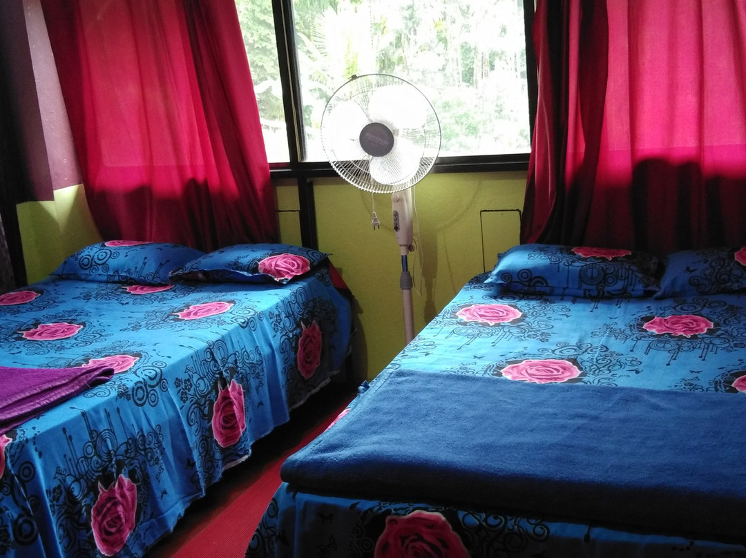 Suraksha Homestay主图