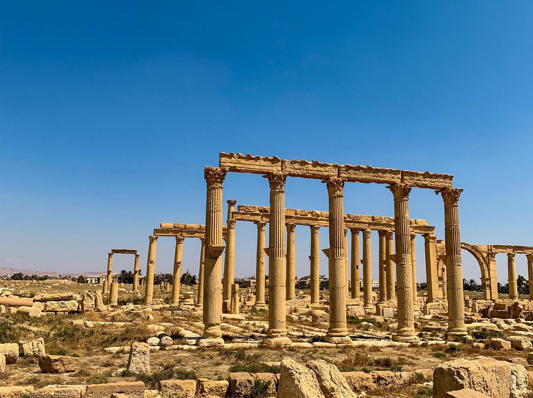 Roman Theatre of Palmyra景点图片
