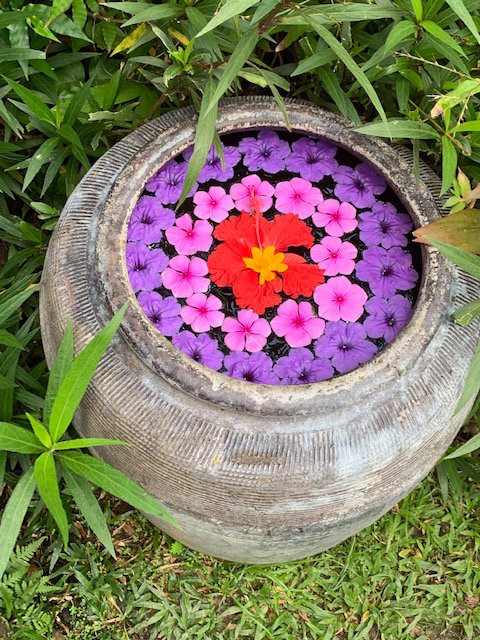 德萨森尼乡村度假村主图