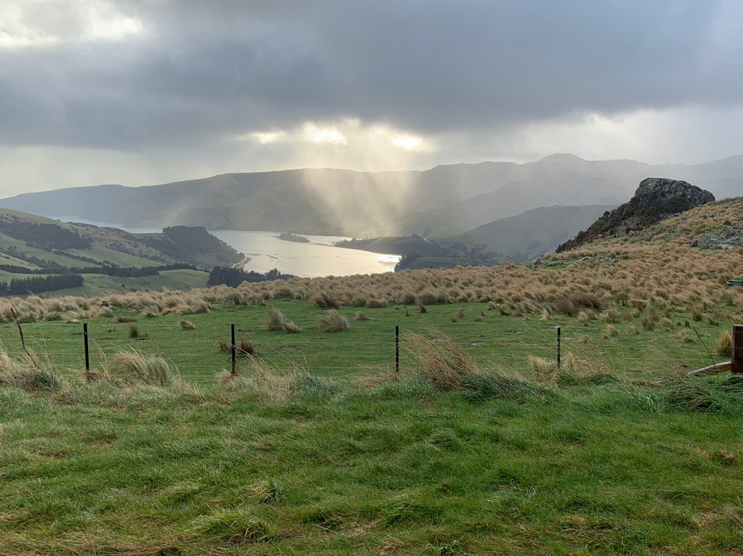 Banks Peninsula Experience景点图片