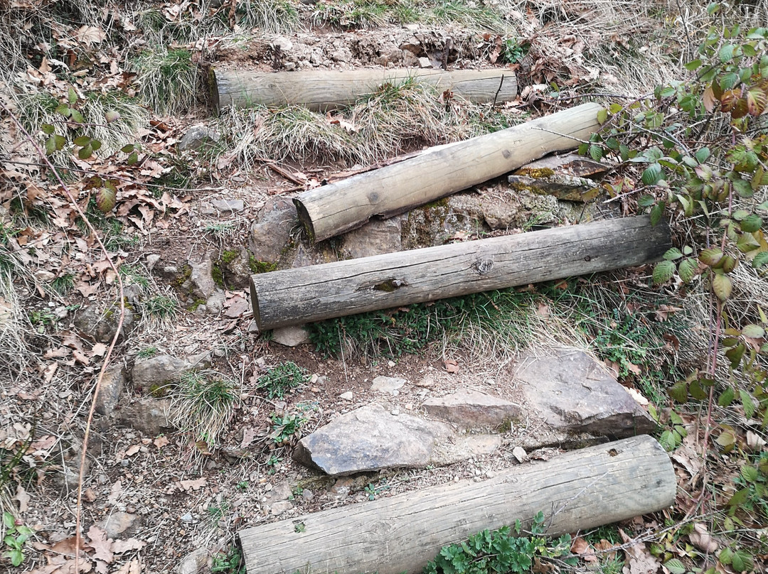 Butte Et Marais Saint Pierre Le Chastel