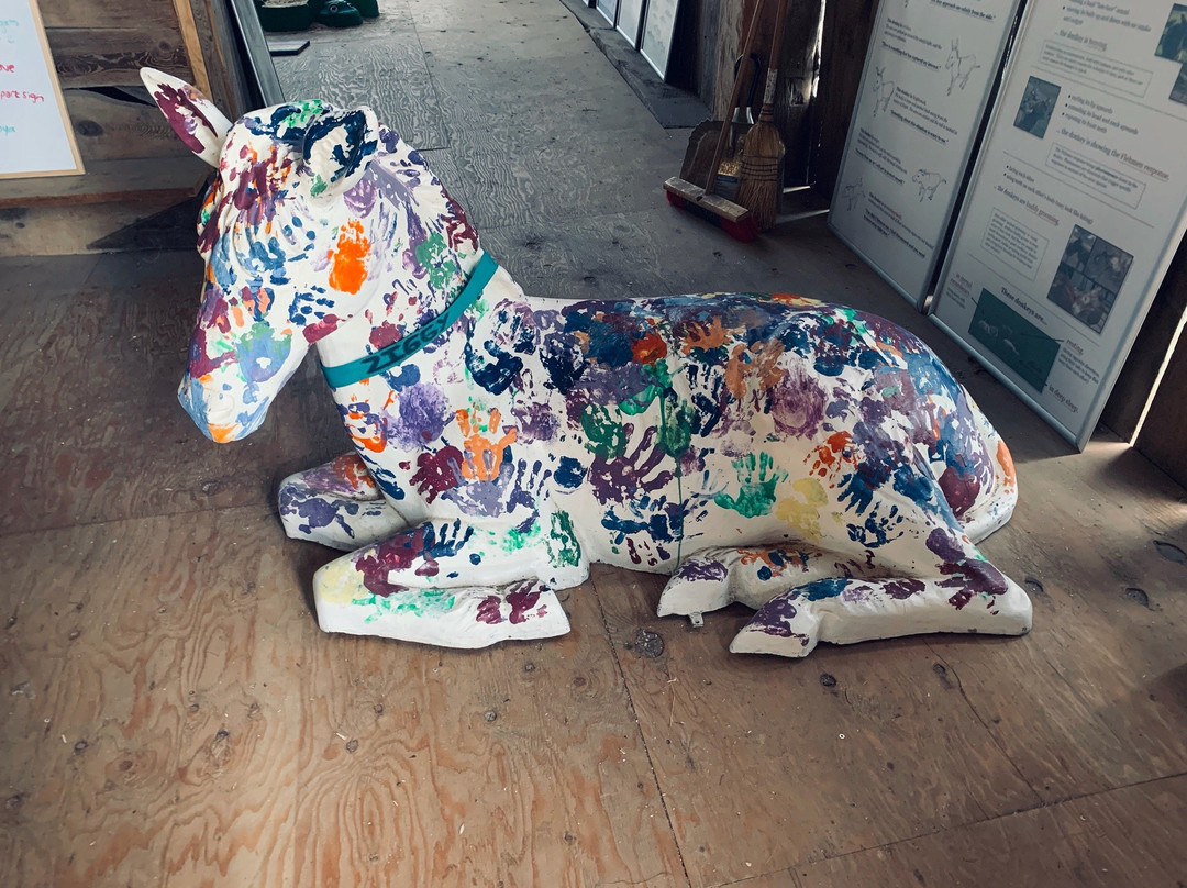 Donkey Sanctuary Of Canada-Puslinch必去景点