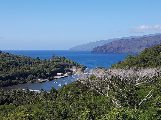 Pension Villa Enata主图