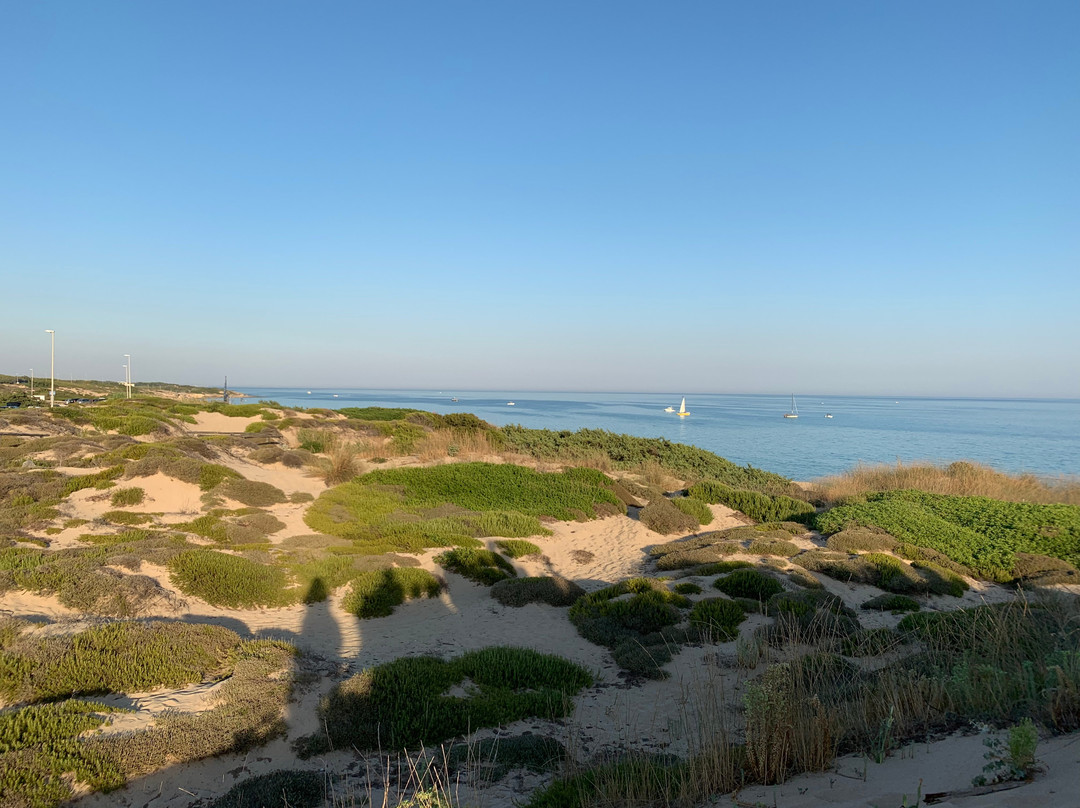 Dune di Campomarino-Maruggio必去景点