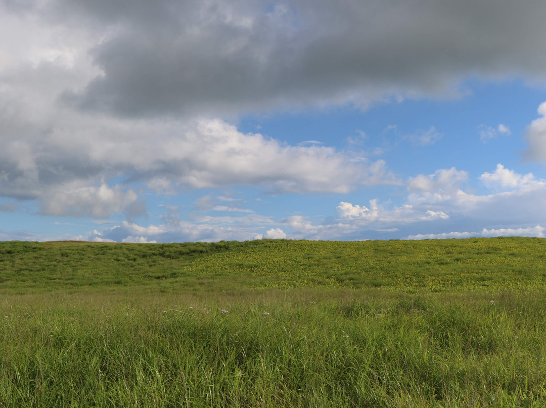 Kirigamine Nature Conservation Center景点图片