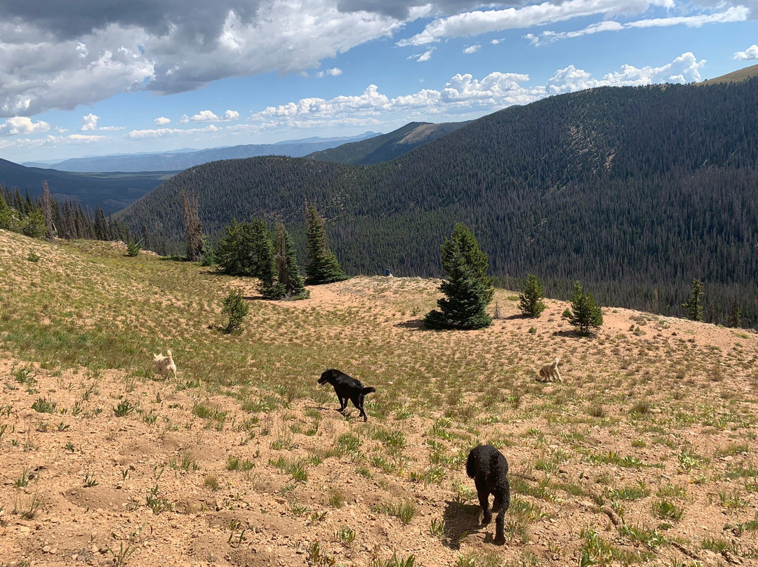 Monarch Scenic Tramway-萨利达必去景点