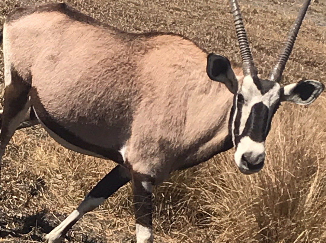 Emerald Animal World-范德毕玖帕克必去景点