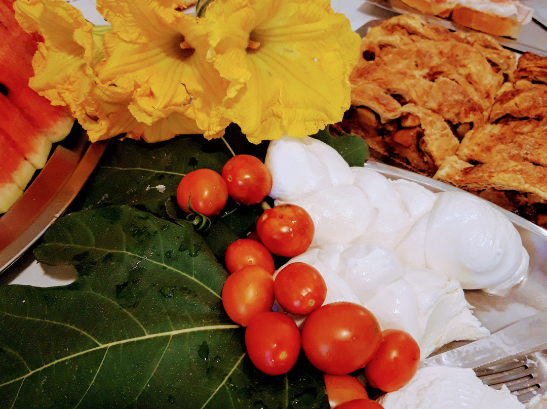 妮多维德酒店主图