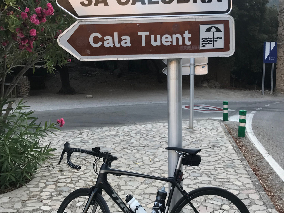 Tramuntana Tours-索列尔港必去景点