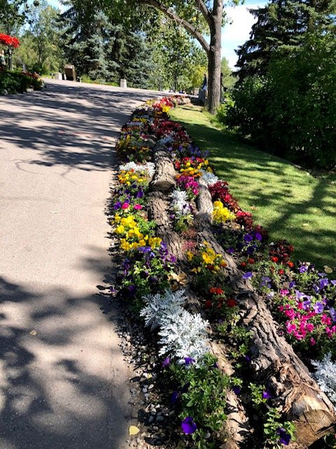 Calgary Pathway System-卡尔加里必去景点