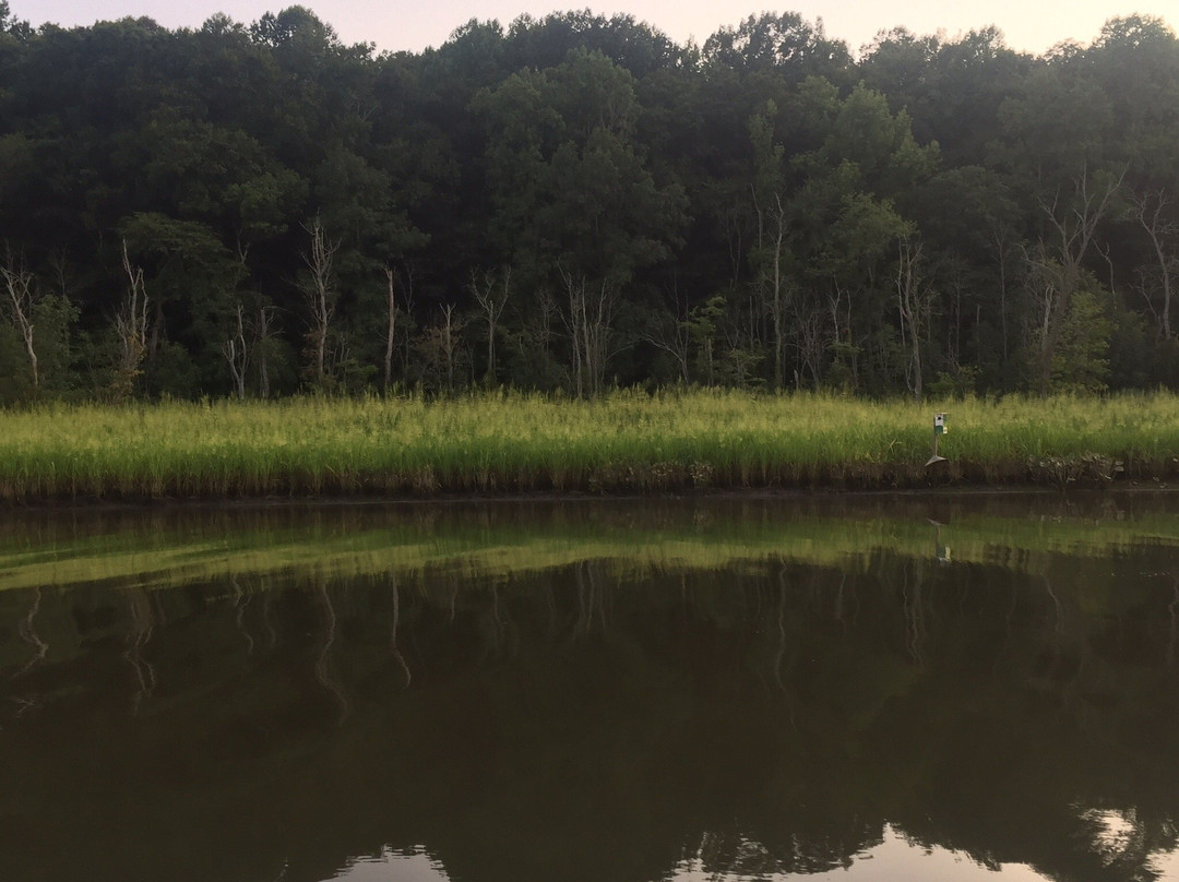 Patuxent River Park景点图片