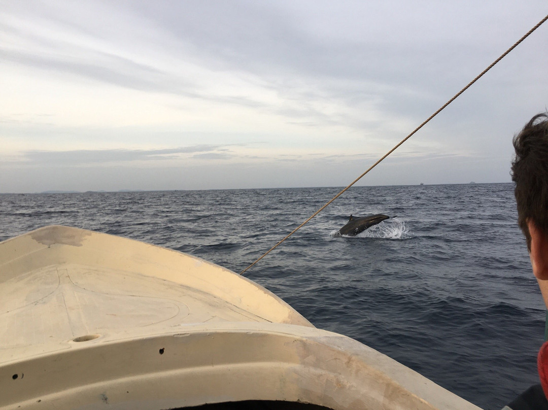 Trinco Eddi-Trincomalee必去景点