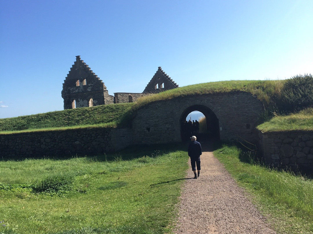 Visingsborgs Slottsruin景点图片