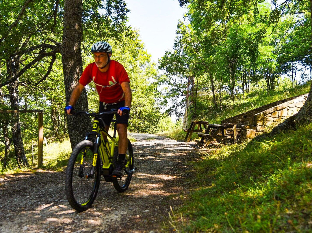 Dolomiti in Bici - Bed and Bike景点图片