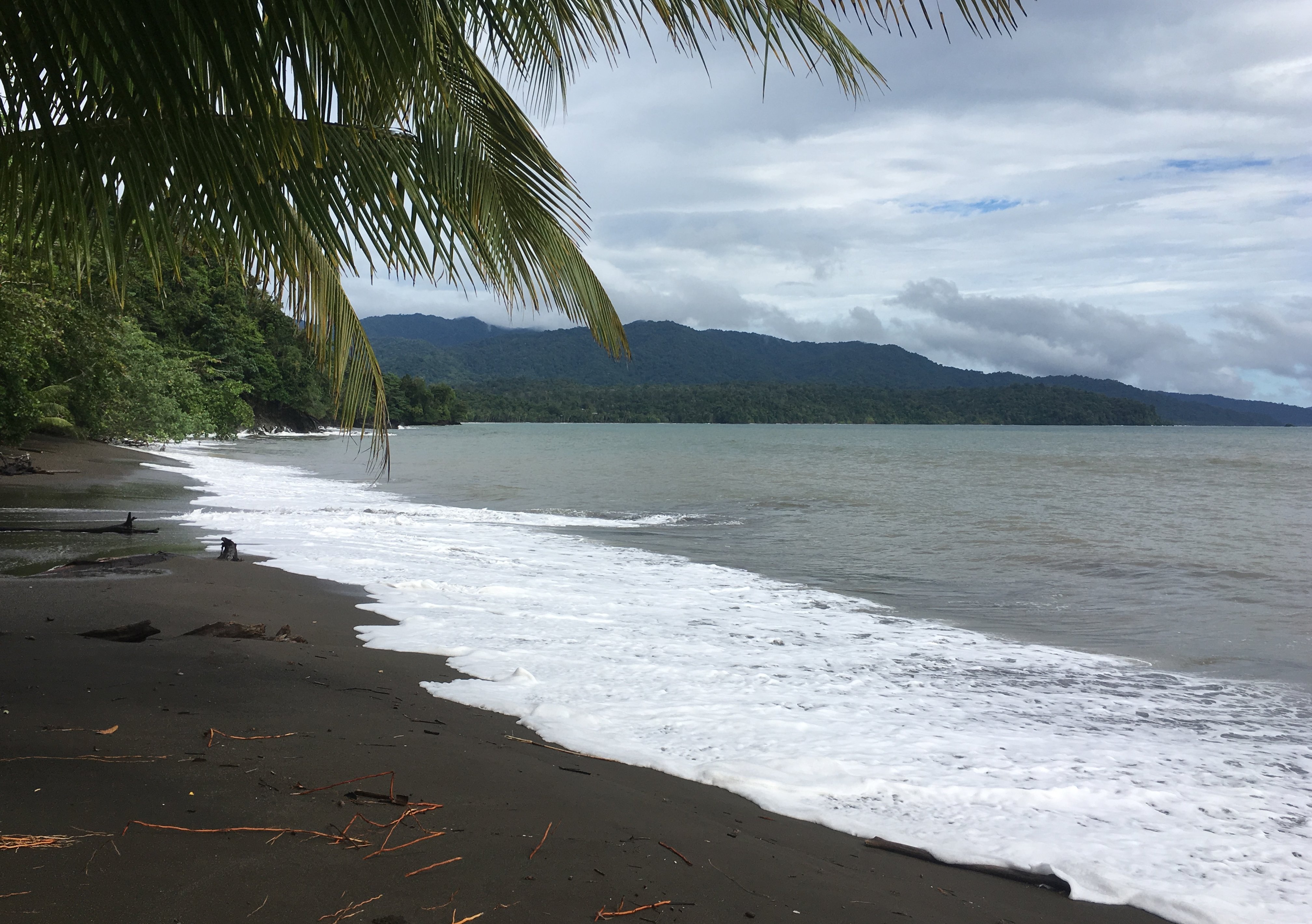 Mapara Crab Lodge-泳池