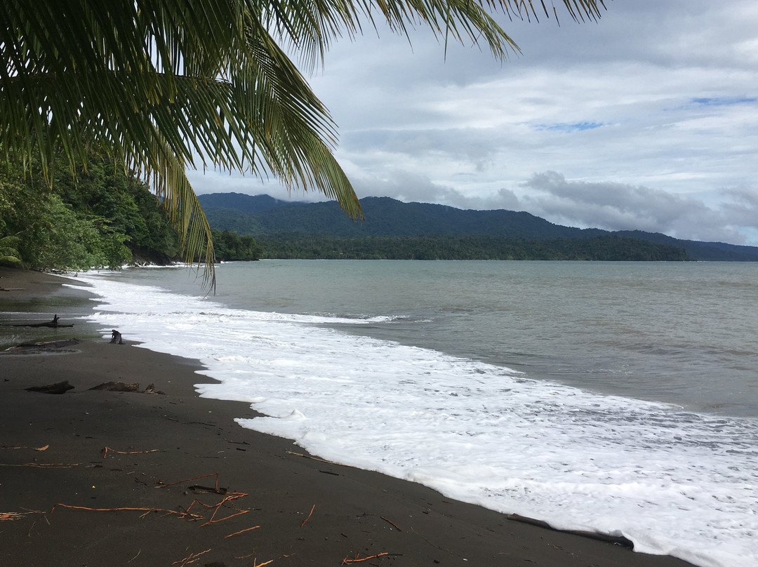 Mapara Crab Lodge主图