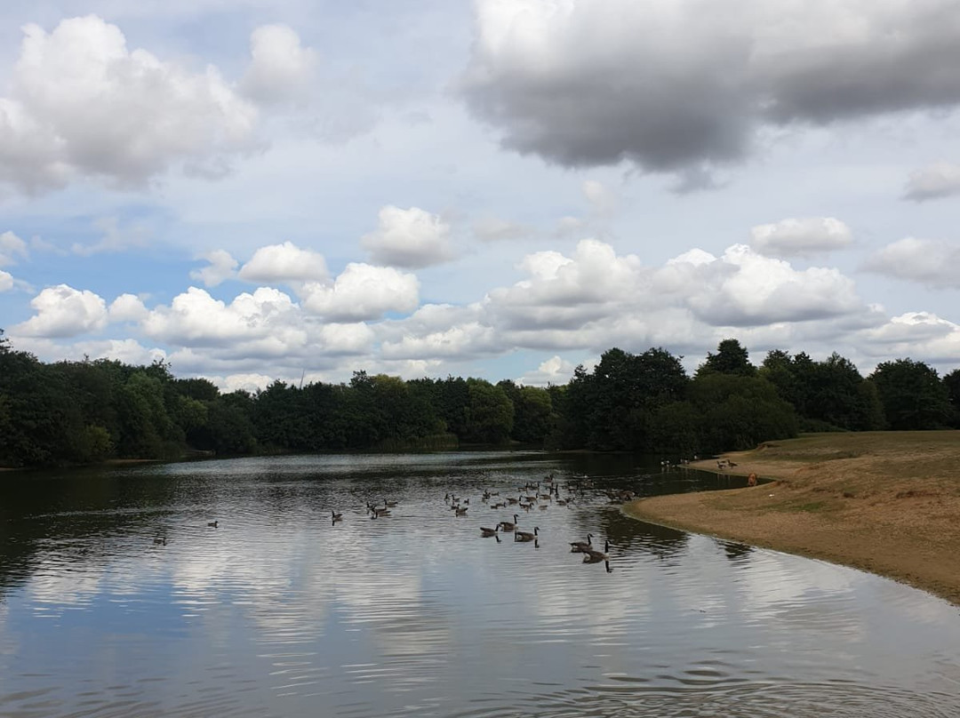 Belhus Wood Country park景点图片