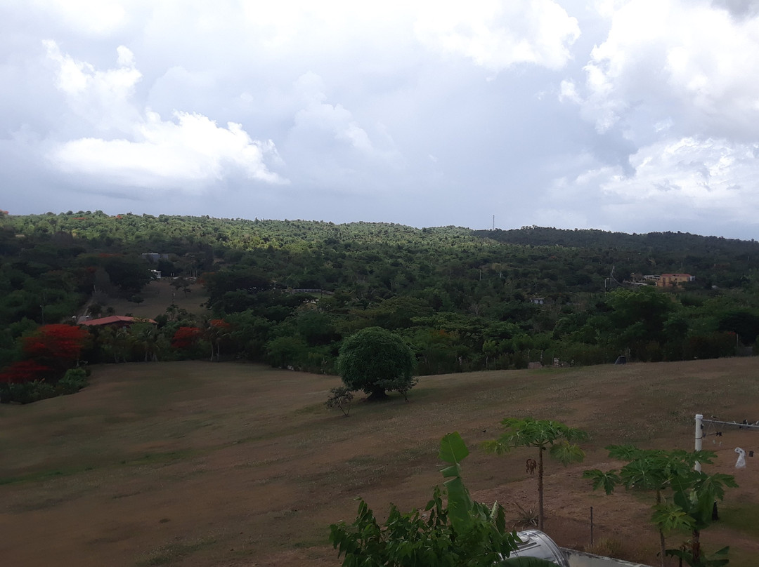 Great Escape Bed & Breakfast Inn主图