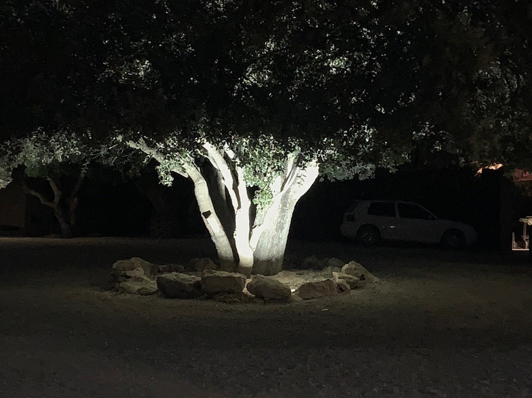 Hotel Es Lloquet - The Secret Place主图