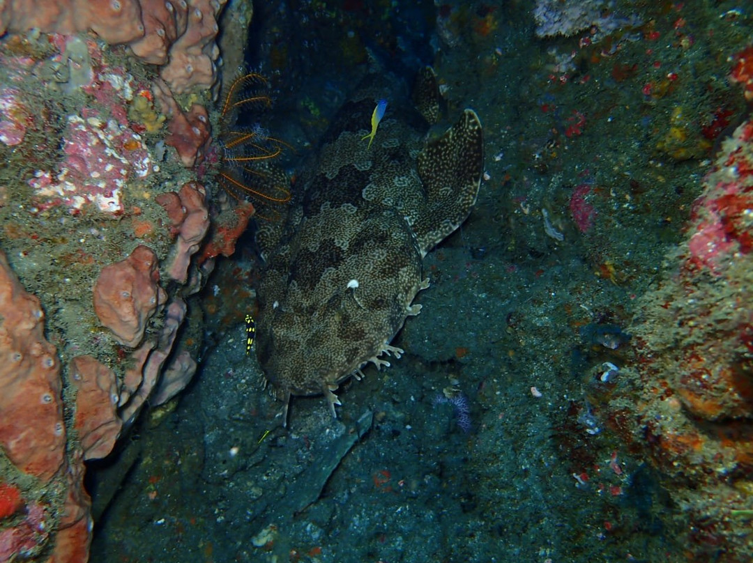 Padangbai Bali Dive-卡朗阿森必去景点
