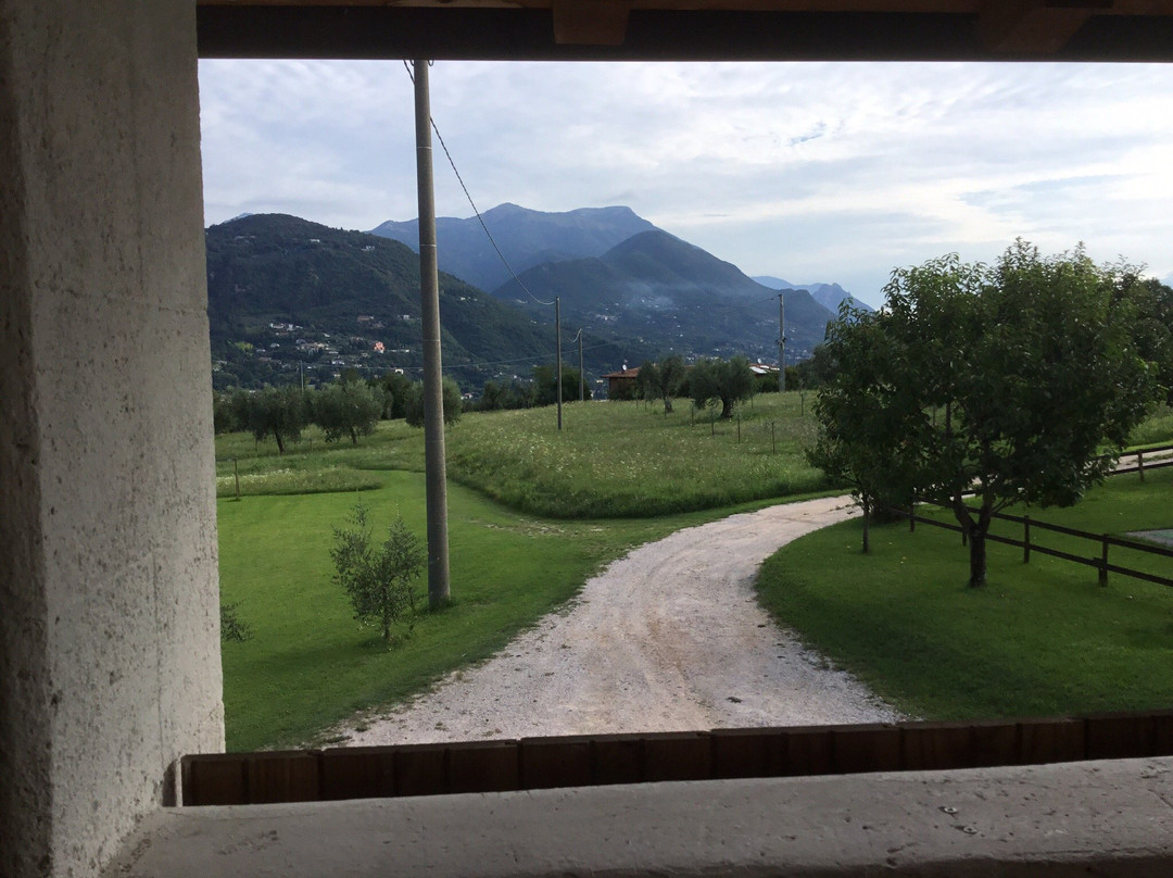 Agriturismo la Scala主图