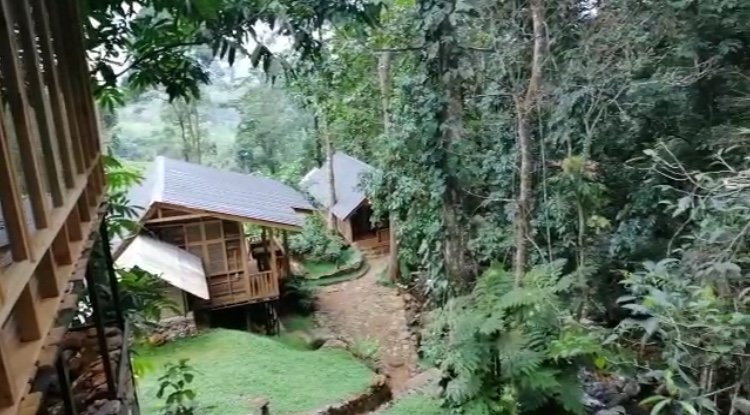 The Line A Mindful Retreat主图