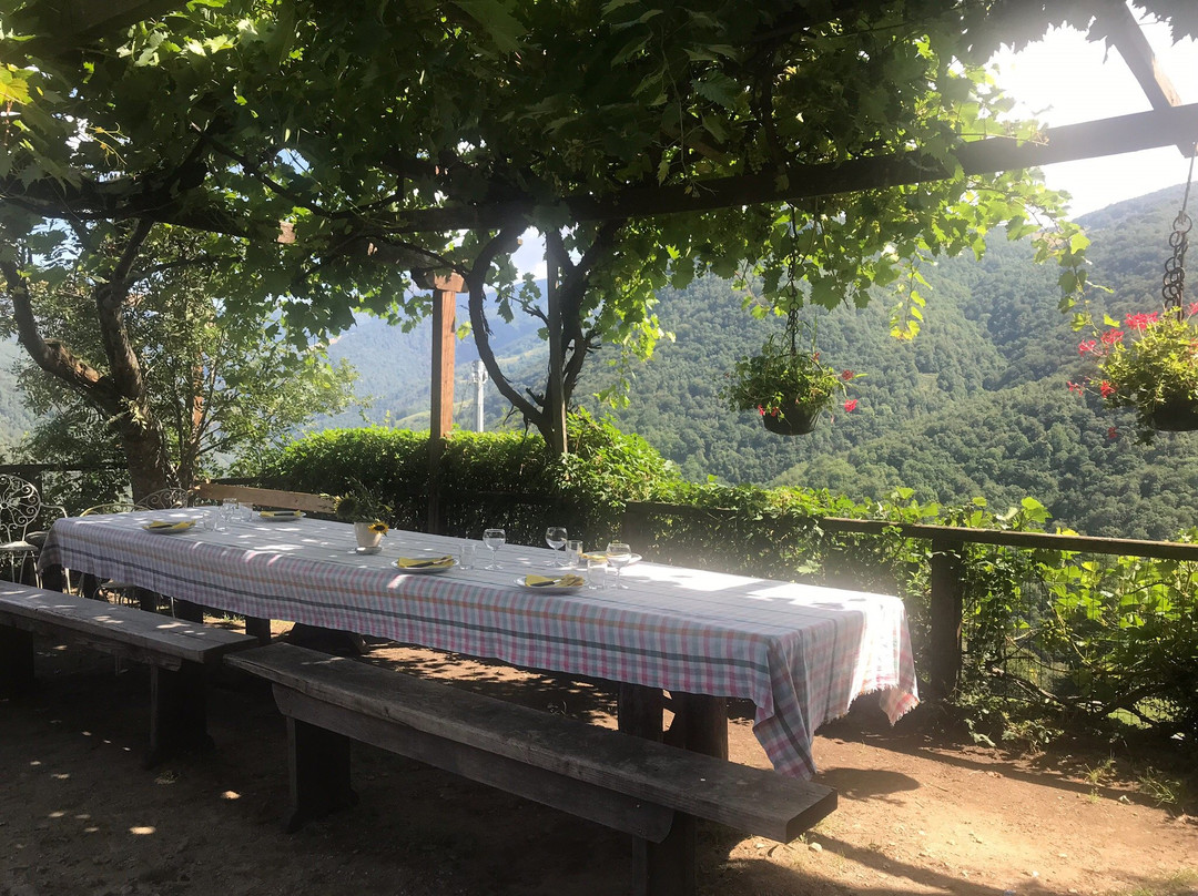 Agriturismo Fattoria Roccolo主图