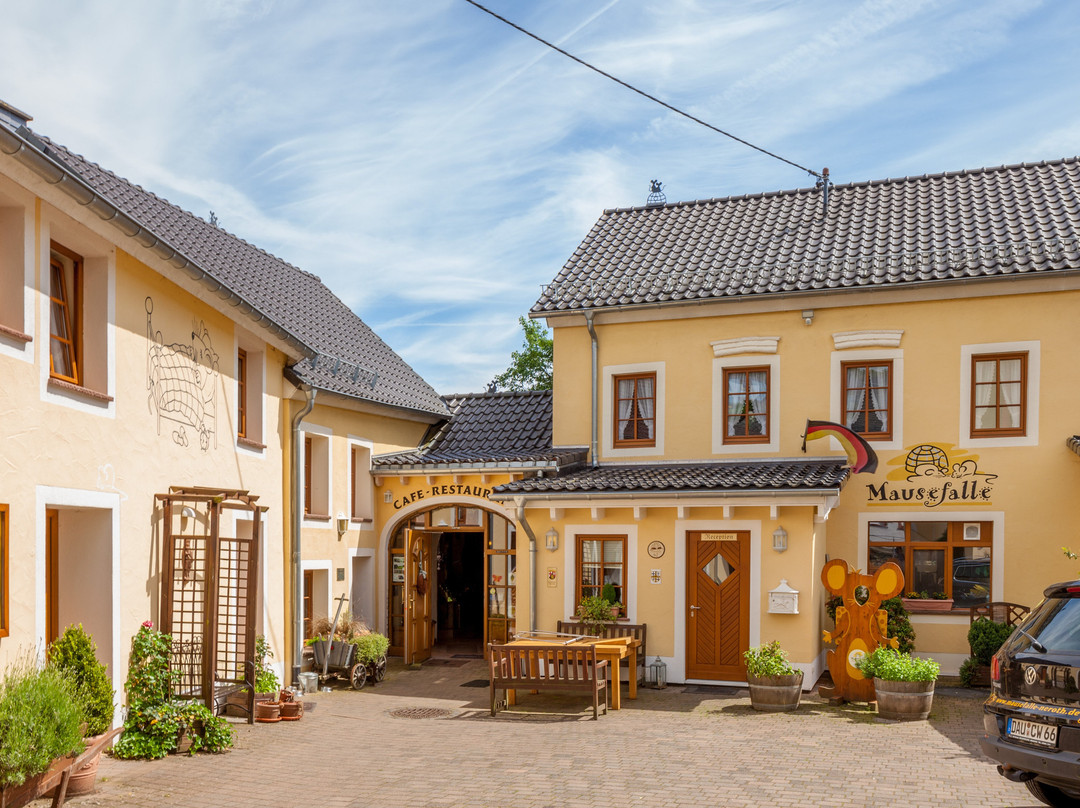 Am Eifelsteig Spa & Wellness Hotel主图