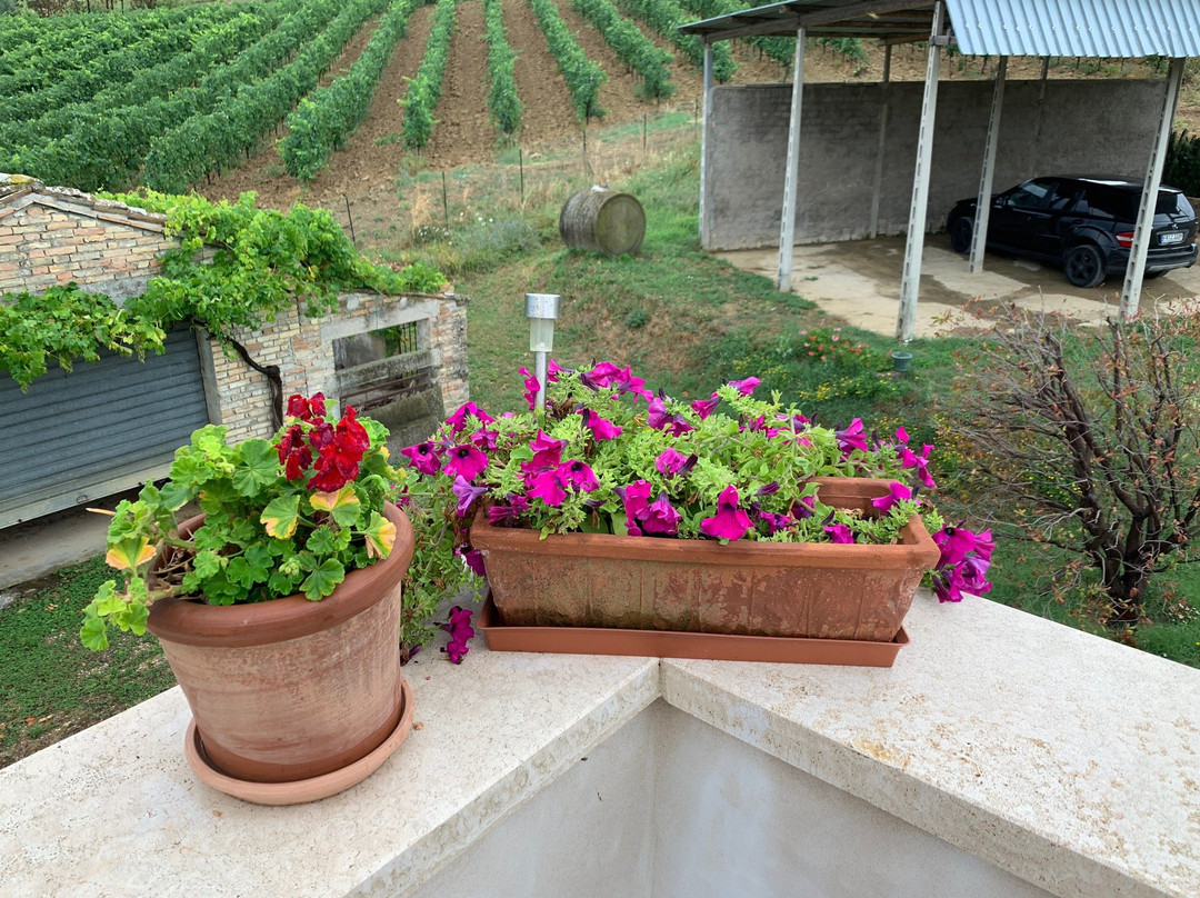 B&B Casale Fonte Vecchia