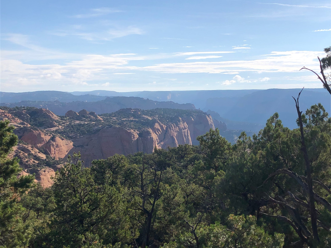 Navajo National Monument景点图片