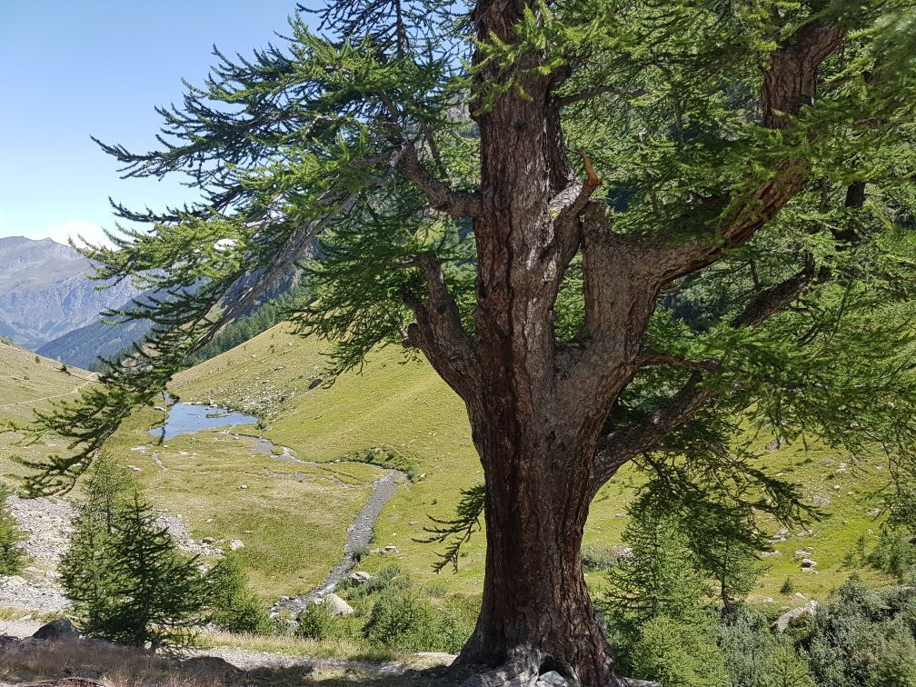 Prati del Vallone-Pietraporzio必去景点