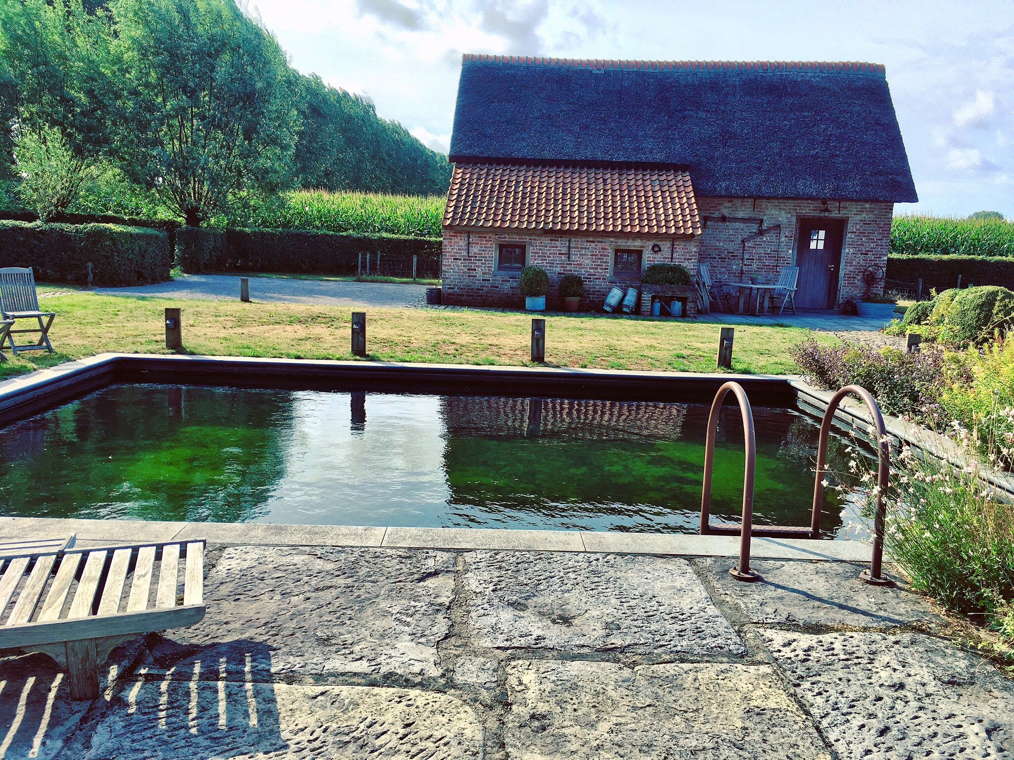 B&B 't Verloren Schaap-官方