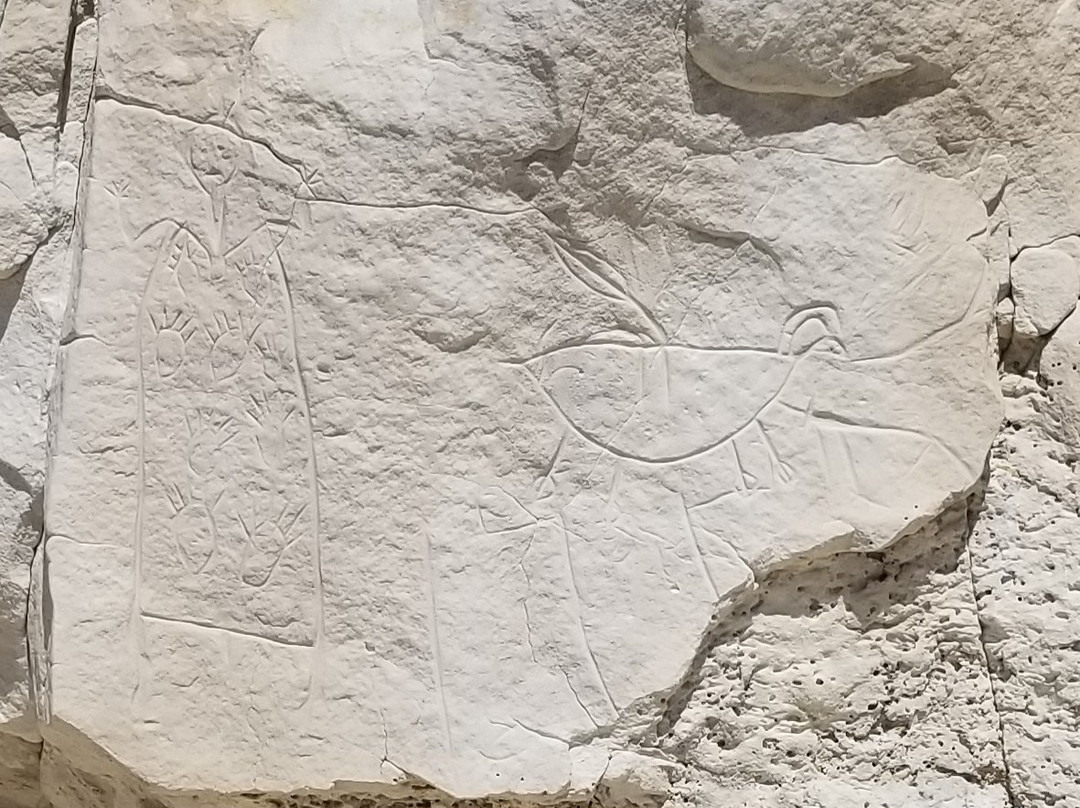 Castle Gardens Petroglyph Site-Riverton必去景点