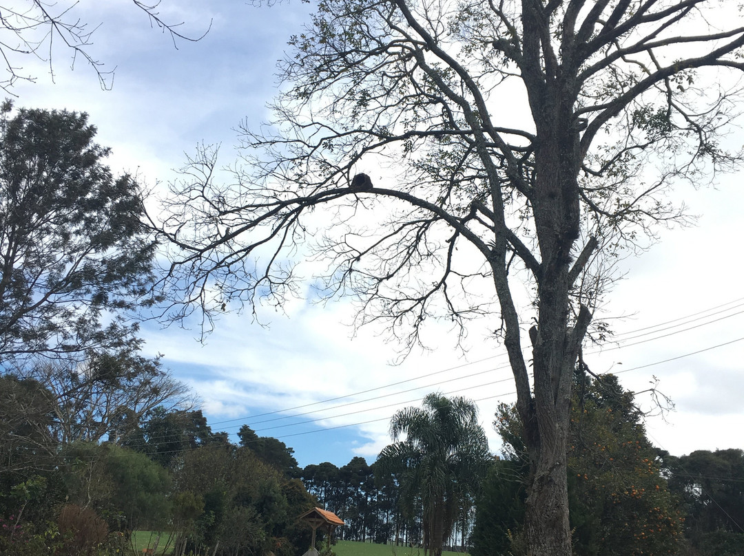 Das Kolonistenhaus Museum-Castro必去景点