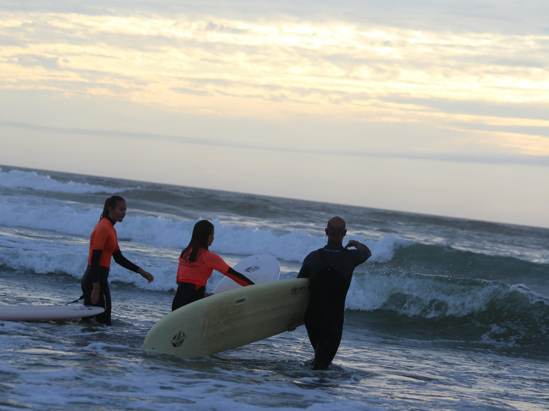 Surf Univers景点图片