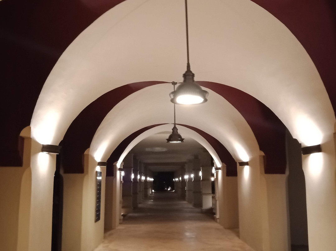 Oasis Saidia Palace & Blue Pearl主图