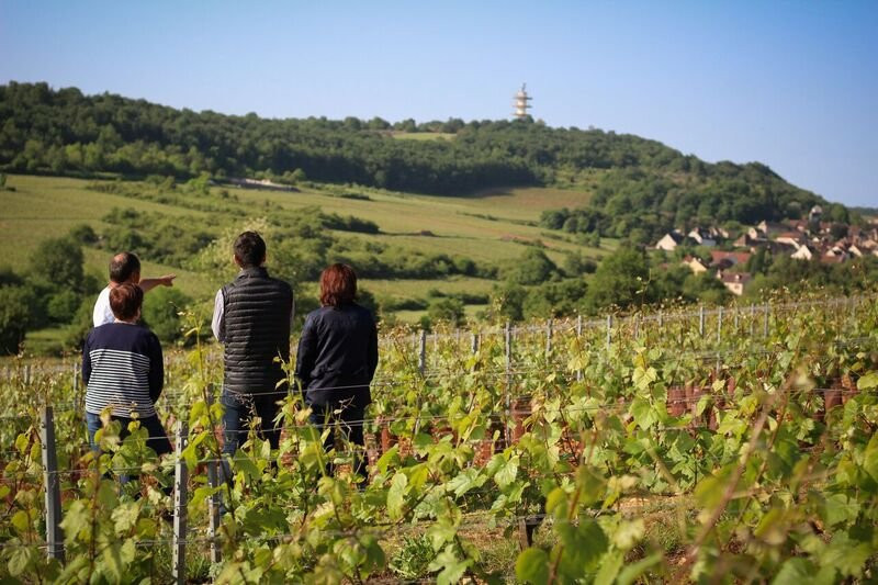 Domaine Chanzy景点图片