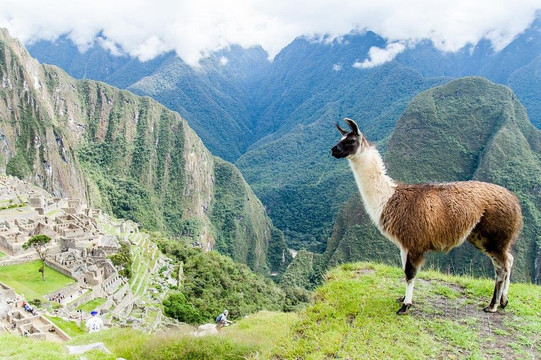 Peru Vacation Tours-马丘比丘必去景点