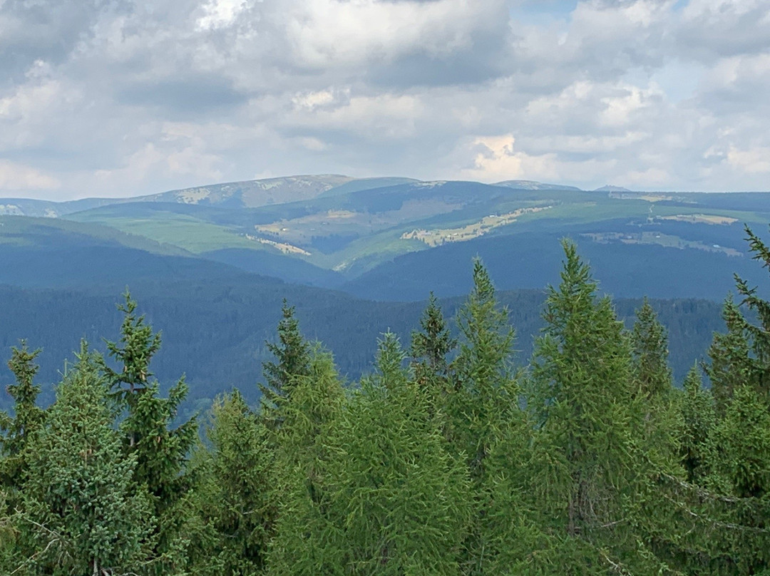 Rozhledna Žalý-Benecko必去景点