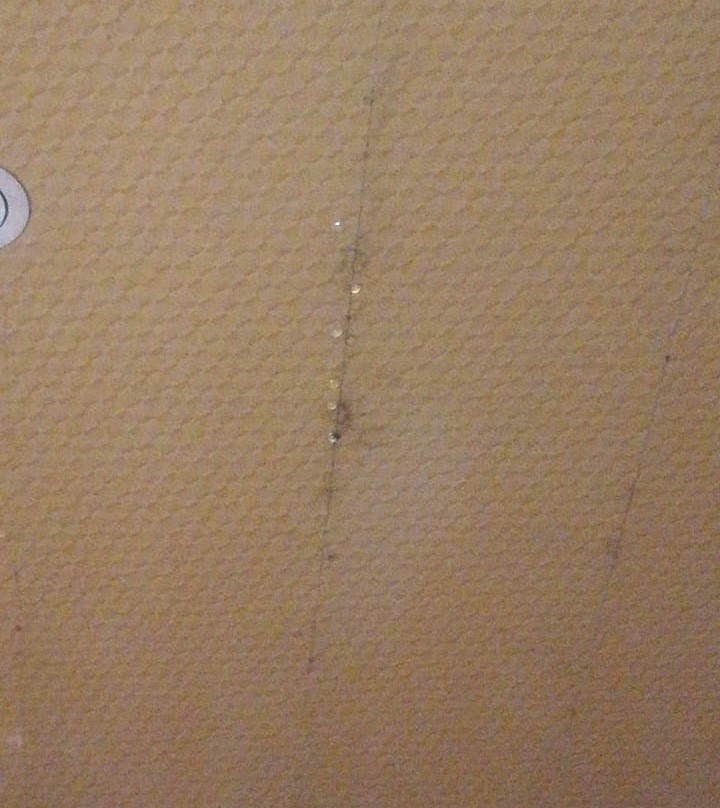 Black Sea Hotel主图