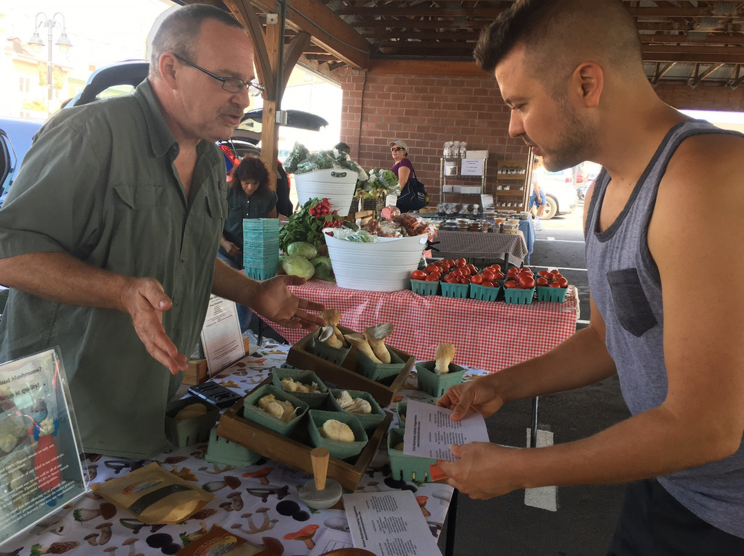 Canandaigua Farmer's Market景点图片
