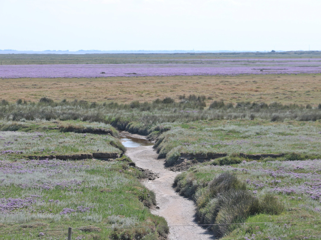 Dünenspaziergänge-斯匹科罗格必去景点