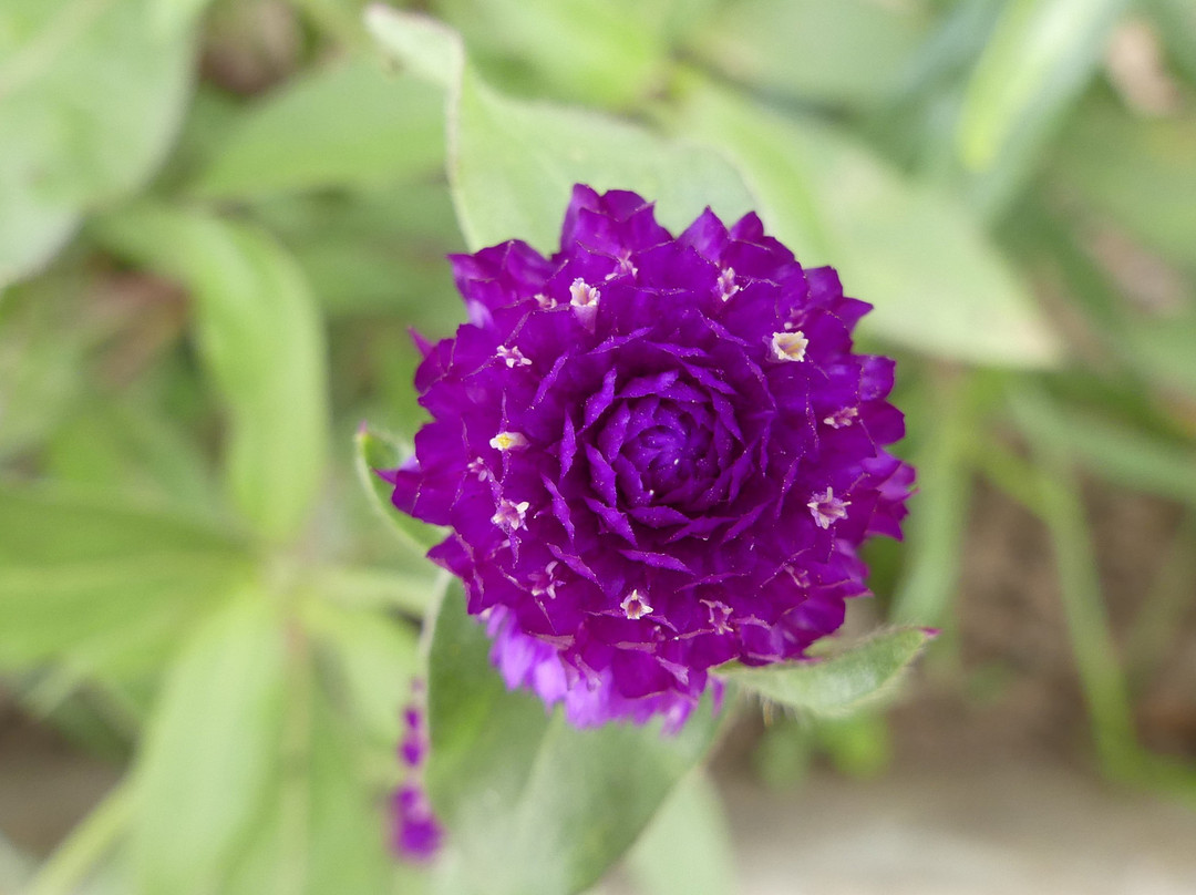 Lutheran Uhuru Hotel Moshi主图