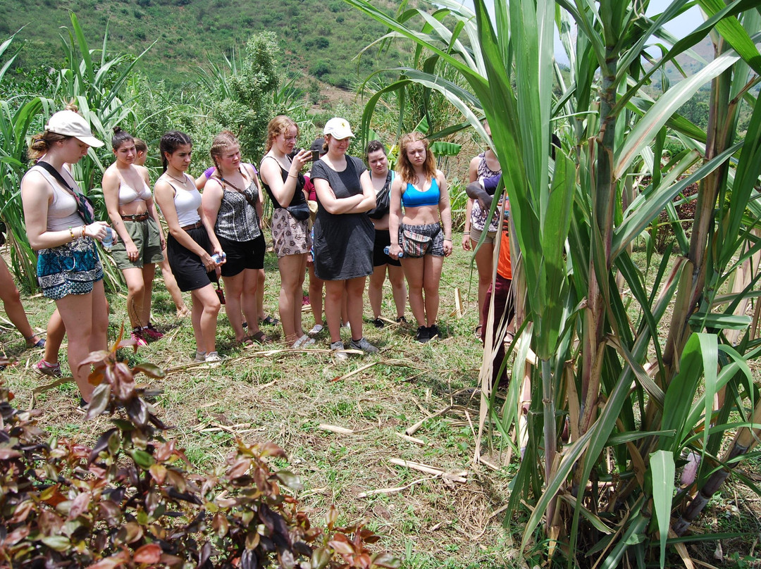 RWATS - Rwenzori Action for Tourism Services-Kasese必去景点