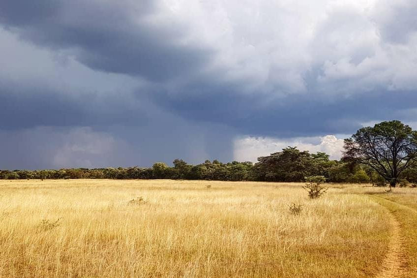 Sensing Africa-霍德斯普鲁特必去景点
